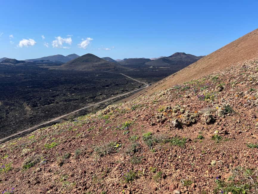 Lanzarote: Guided Hike discover volcano history and culture - A volcanic walk that explains what you are seeing