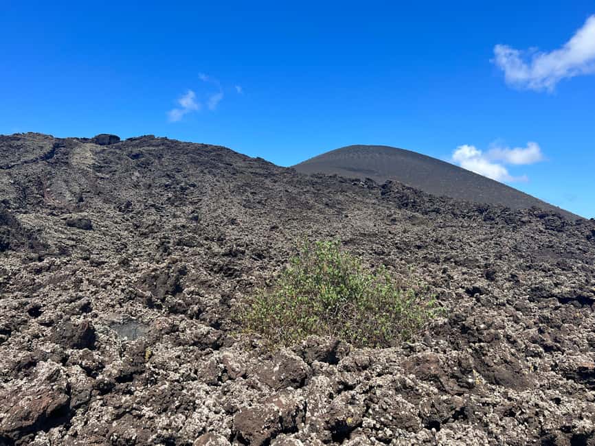 Lanzarote: Guided Hike discover volcano history and culture - From first inhabitants to César Manrique