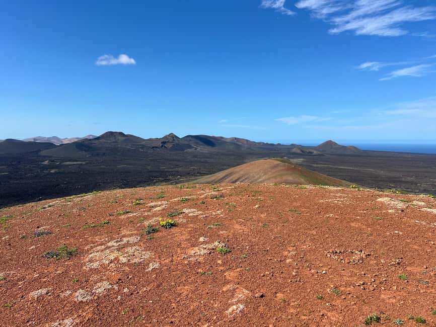 Lanzarote: Guided Hike discover volcano history and culture - Is $56 a fair price?