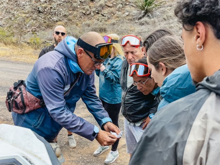 Lanzarote: Guided Off-Road Volcano Buggy Tour - Guatiza quarries and cactus country