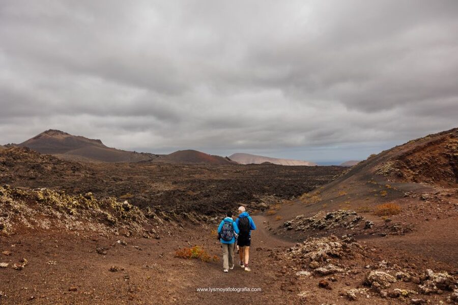 Lanzarote: Hike Across Timanfaya's Volcanic Landscapes - Is $50 a fair price?