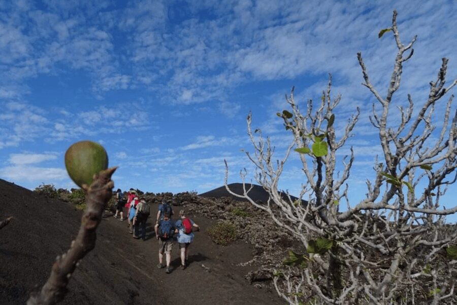 Lanzarote: Hike Across Timanfaya's Volcanic Landscapes - Who should book this hike?