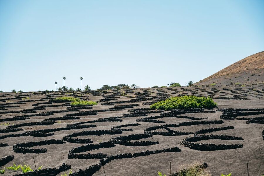 Lanzarote: Timanfaya National Park & La Geria Tour - El Golfo and the Green Lagoon