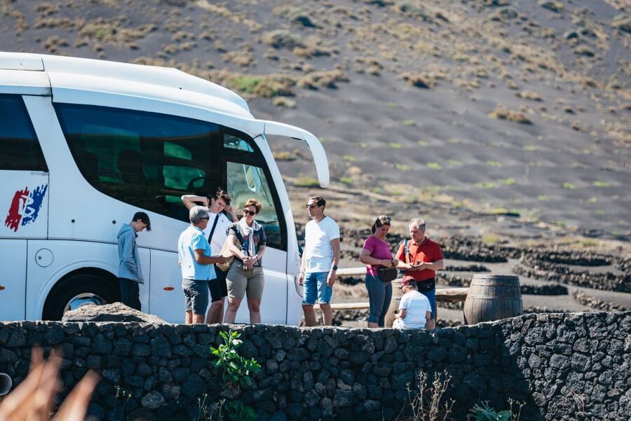 Lanzarote: Timanfaya National Park & La Geria Tour - La Geria shows Lanzarote’s practical side