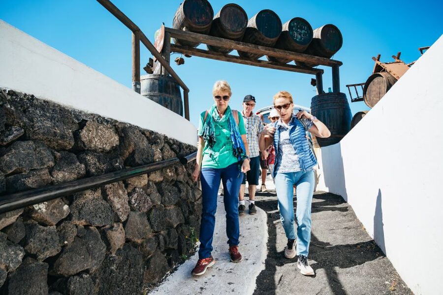 Lanzarote: Timanfaya National Park & La Geria Tour - How to make the most of the short stops