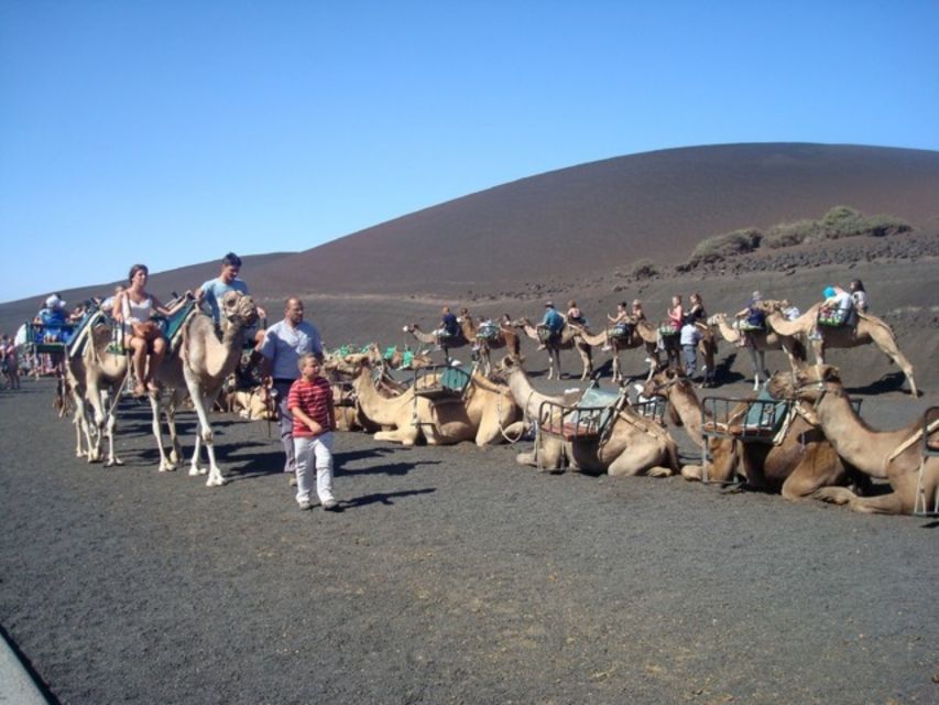 Lanzarote: Timanfaya National Park Tour - The volcano route and the best views