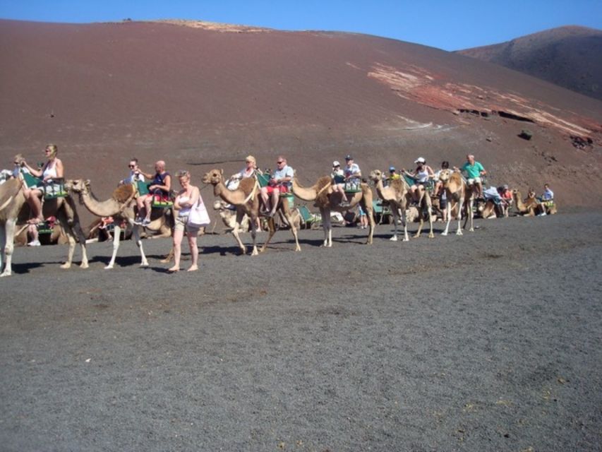 Lanzarote: Timanfaya National Park Tour - The optional camel ride at Echadero de Camellos