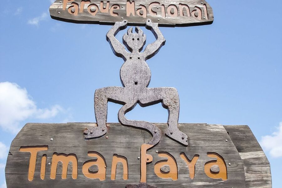 Lanzarote: Timanfaya National Park Volcanic Craters Tour - Why Timanfaya is best seen by official coach