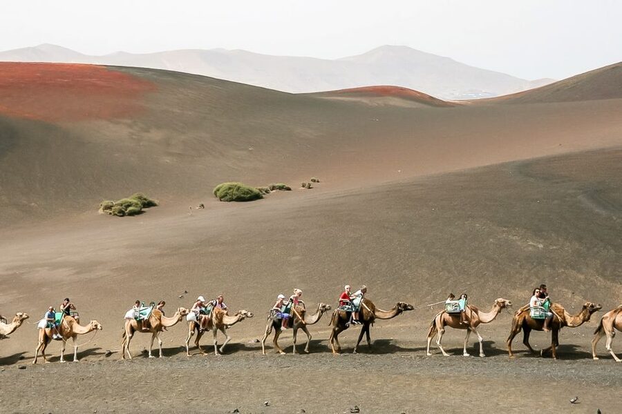 Lanzarote: Timanfaya National Park Volcanic Craters Tour - The one-hour coach ride through Timanfaya