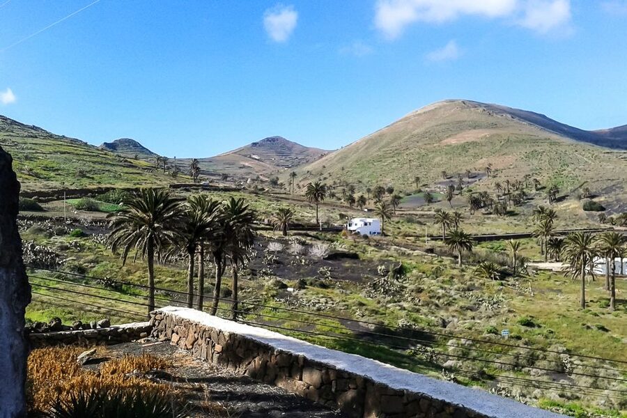 Lanzarote: Timanfaya Park and Jameos del Agua Full-Day Tour - A full day from black volcanoes to pale caves
