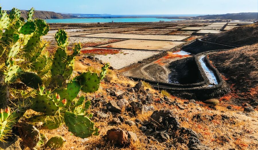 Lanzarote: Volcanos of Timanfaya and Caves Tour with Lunch - Key points to know before booking
