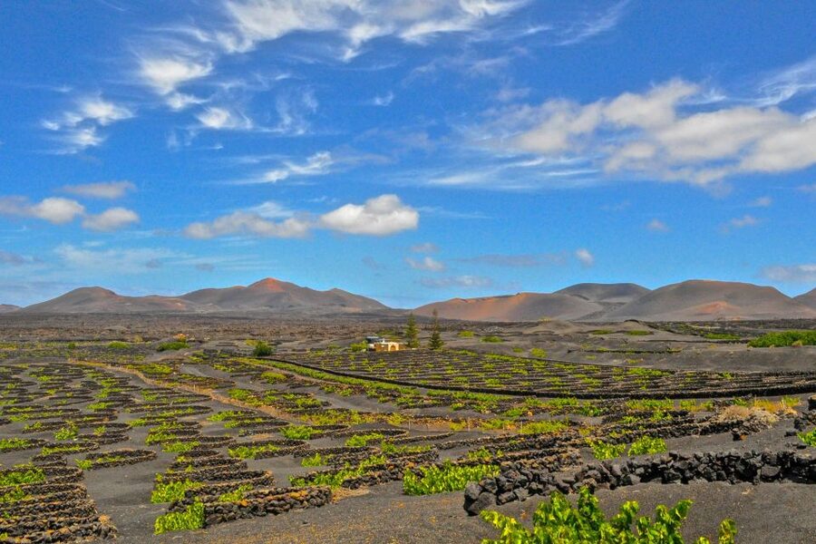 Lanzarote: Volcanos of Timanfaya and Caves Tour with Lunch - El Golfo and the green lagoon
