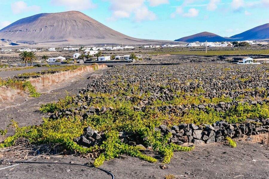 Lanzarote: Volcanos of Timanfaya and Caves Tour with Lunch - Lunch in Yaiza: useful, included, and not the main attraction