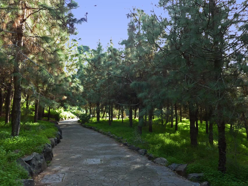 Las Palmas: Botanic Garden Tour (Bandama Caldera Option) - Meeting at San Telmo and riding out of town