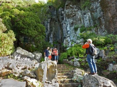 Las Palmas: Botanic Garden Tour (Bandama Caldera Option)