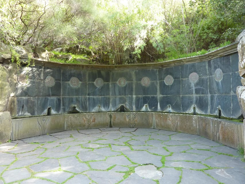 Las Palmas: Botanic Garden Tour (Bandama Caldera Option) - Adding Bandama Volcano for a wider view