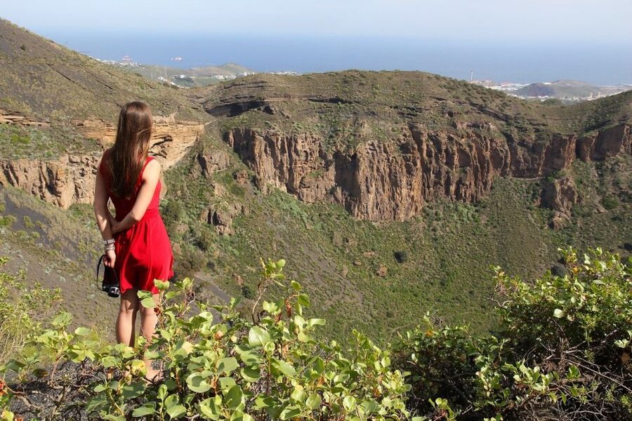 Las Palmas, Botanical Gardens and Bandama Volcano Tour - Who will enjoy this tour most