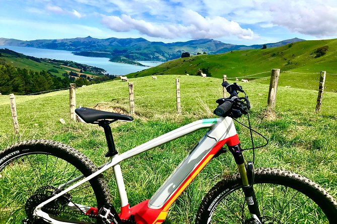 Lava Loop- Guided electric mountain bike tour in Akaroa - Climbing above Akaroa Harbour