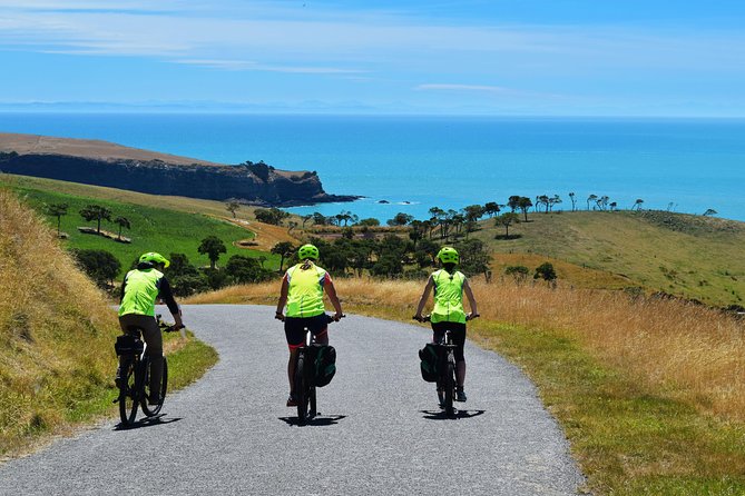 Lava Loop- Guided electric mountain bike tour in Akaroa - Weather and cancellation points to understand