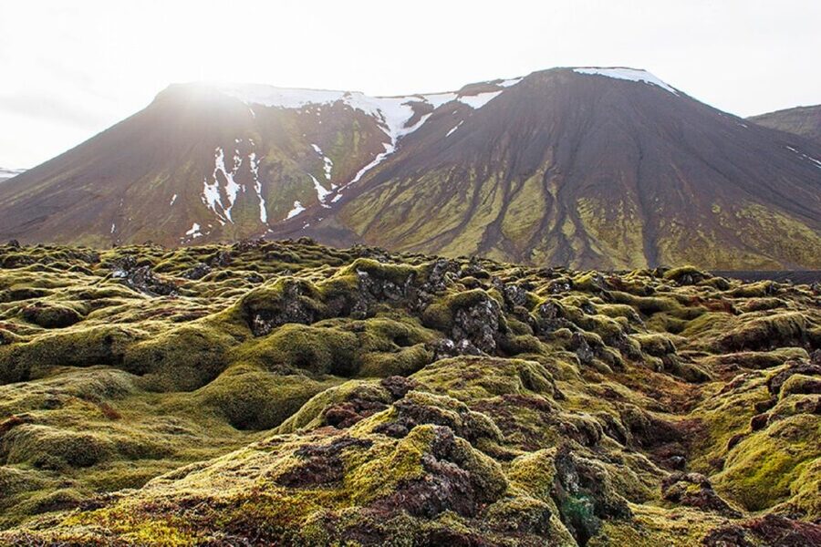 Leidarendi Cave: Lava Tunnel Caving from Reykjavik - Is $104 a fair price?