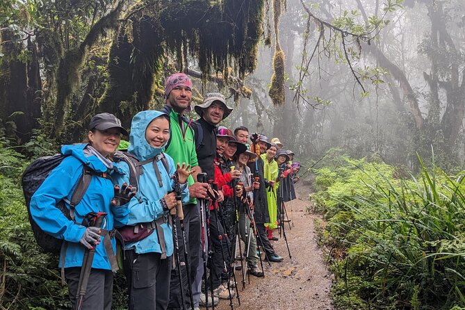 Lemosho Route 7 Days Trekking at Mount Kilimanjaro - Heath and moorland on the way to Shira One