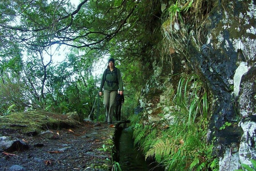 Levada Walk and Caldeirao Verde Waterfalls: Madeira - Why the Caldeirão Verde levada is worth your day