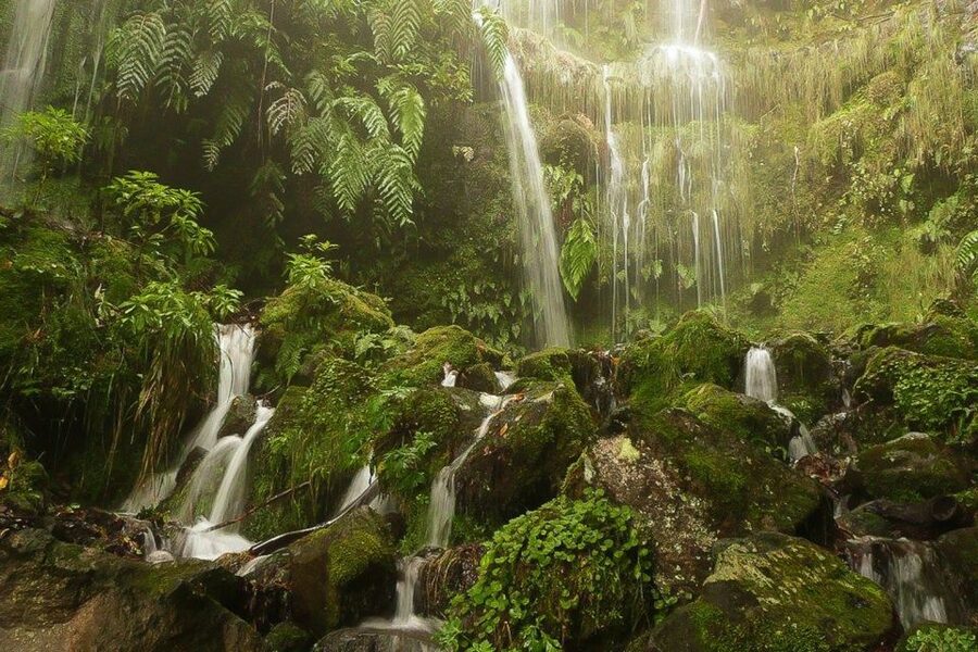 Levada Walk and Caldeirao Verde Waterfalls: Madeira - Starting at Queimadas Forest Park