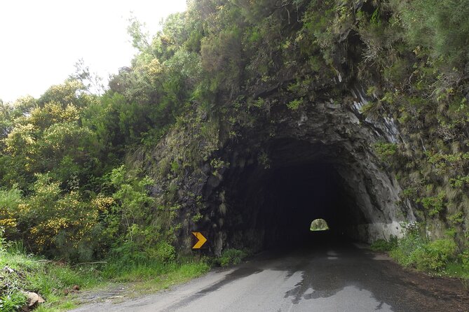 Madeira 4x4 Jeep Safari : Porto Moniz, Lava Pools & Fanal Forest - Paul da Serra and the climb into the mountains