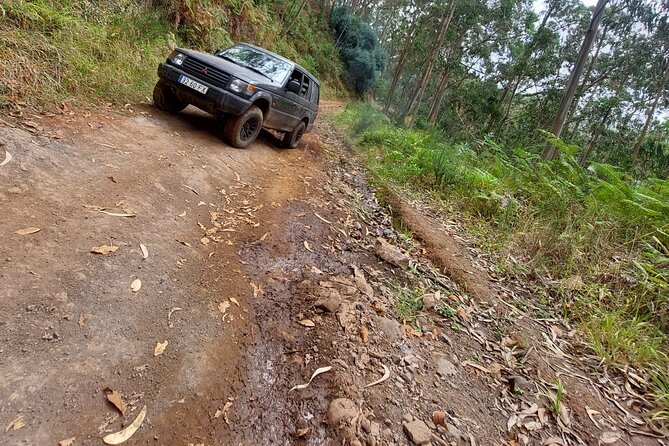 Madeira 4x4 Jeep Safari : Porto Moniz, Lava Pools & Fanal Forest - Seixal’s black-sand beach