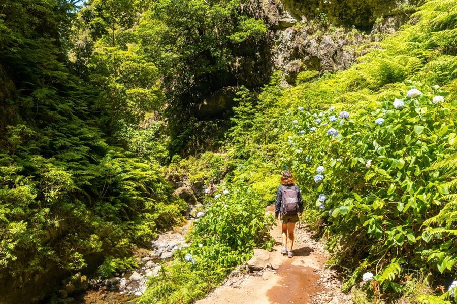 Madeira: Jungle Fever Levada Caldeirao Verde Hike Santana - What the waterfalls and tunnels add