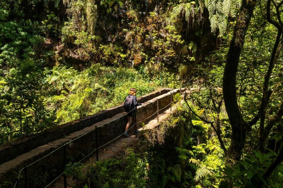 Madeira: Jungle Fever Levada Caldeirao Verde Hike Santana - Finishing with coffee, poncha or a soft drink