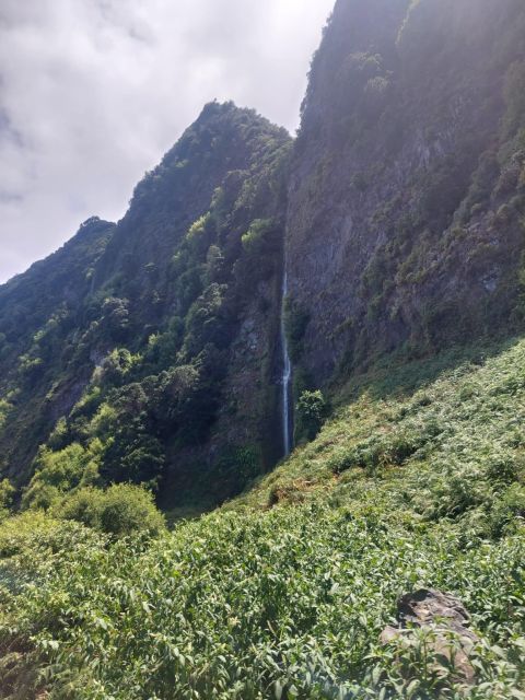 Madeira West Safari - The natural lava pools of Porto Moniz - What the open-roof Jeep adds