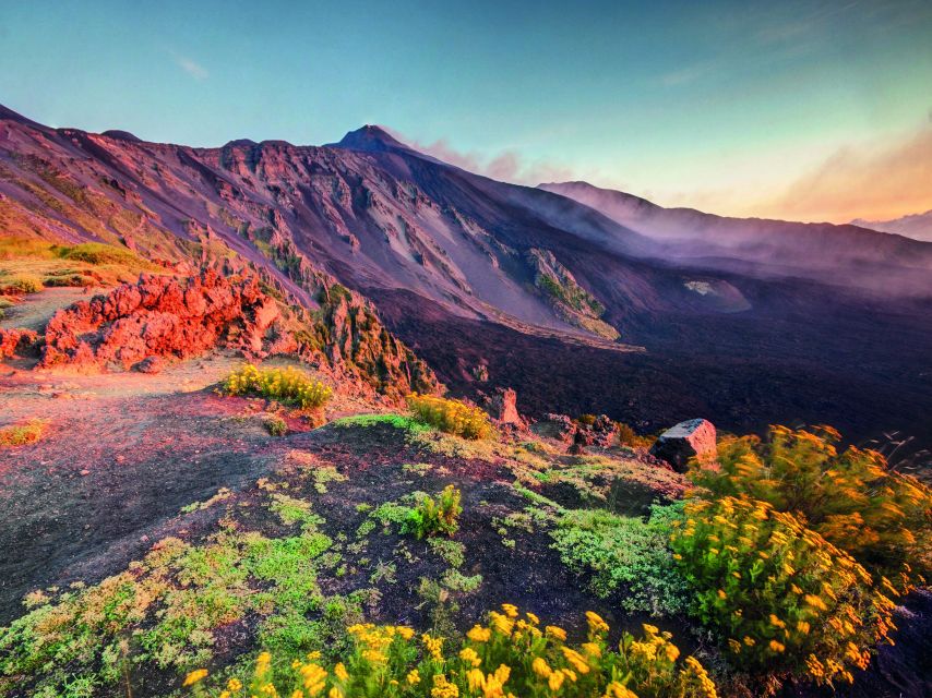 Malta: Mount Etna and Taormina Guided Day Trip by Catamaran - A Malta to Sicily day that packs in two big sights