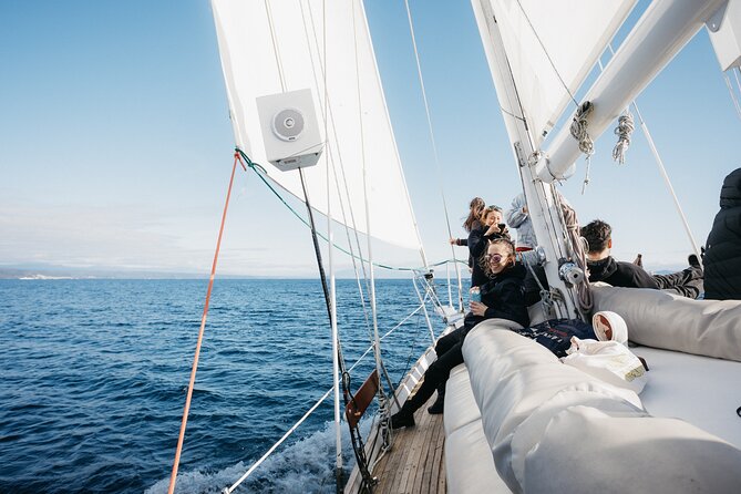 Maori Rock Carvings Eco Sailing Taupo - Is the NZ$33.54 price good value?