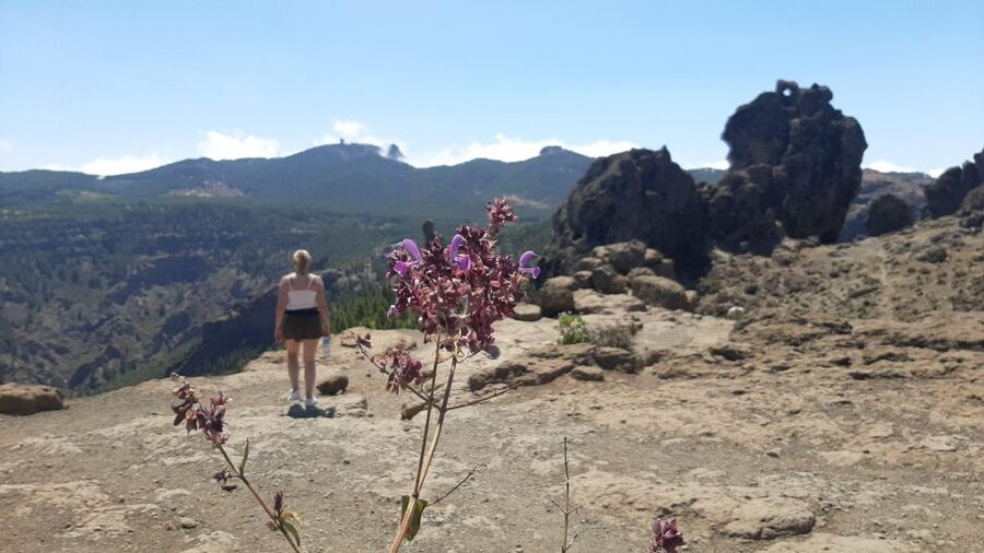 Maspalomas: Roque Nublo - hiking on volcanoes by Sky Rebels - Picnic food keeps the day simple