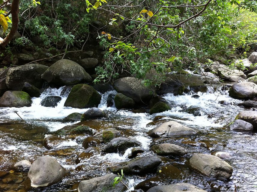 Maui: Best of Maui/Haleakala - Sips, Sites & Bites - A guided look at Maui-made spirits