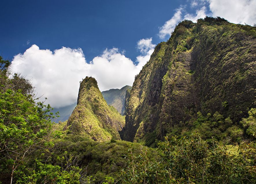 Maui: Best of Maui/Haleakala - Sips, Sites & Bites - Who should book this Maui day?