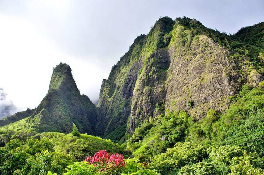 Maui: Best of Maui/Haleakala - Sips, Sites & Bites - The long climb through Upcountry Maui