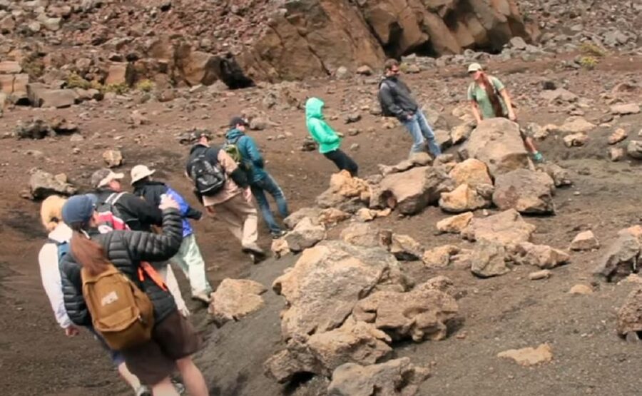 Maui: Guided Hike of Haleakala Crater with Lunch - The 8,000-foot trail brings rare plants into view