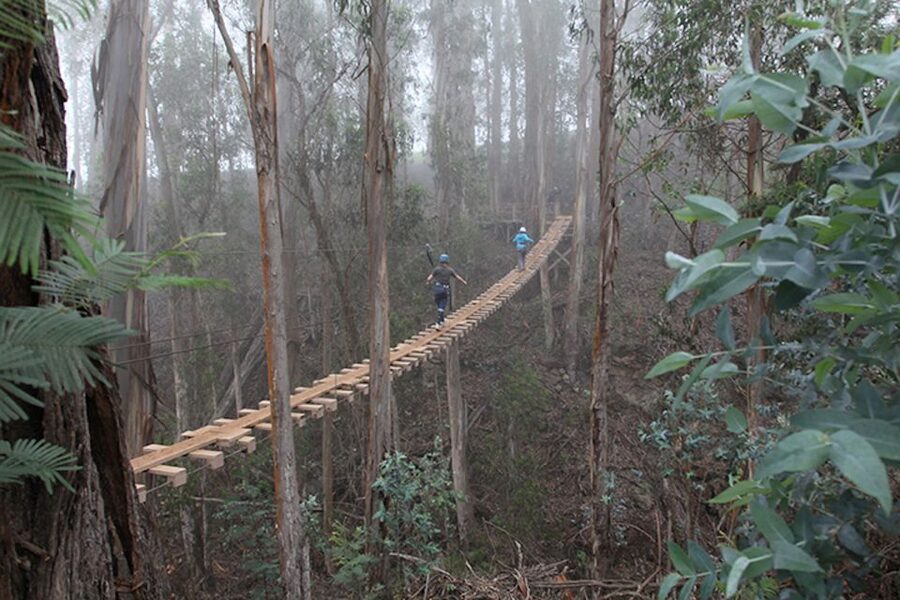 Maui: Haleakala 6-Line Zipline Adventure - What the two-hour outing actually includes