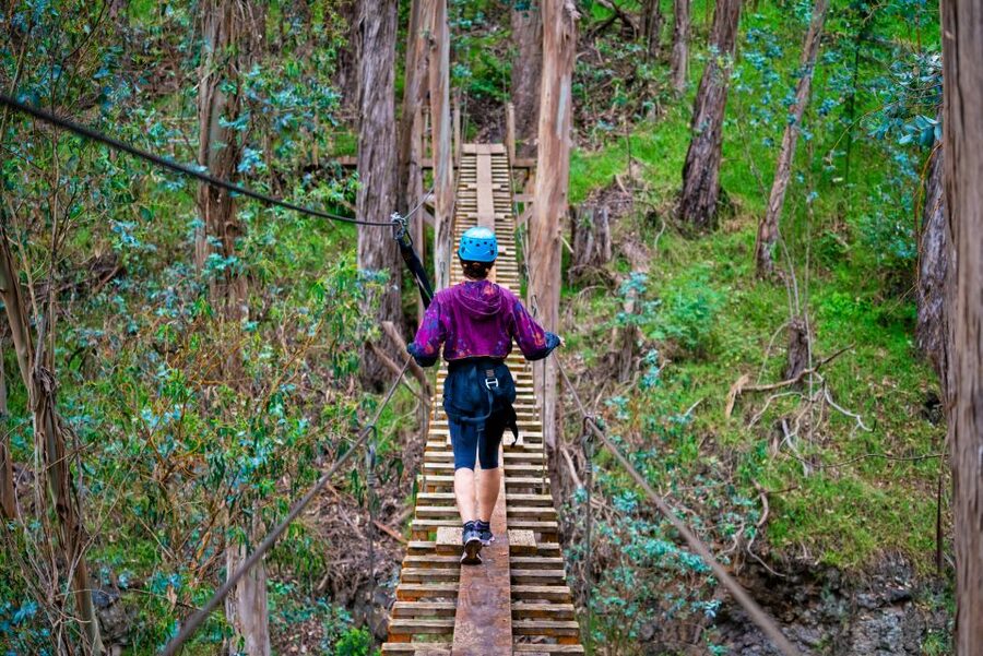 Maui: Haleakala 6-Line Zipline Adventure - Is $146 a fair price?