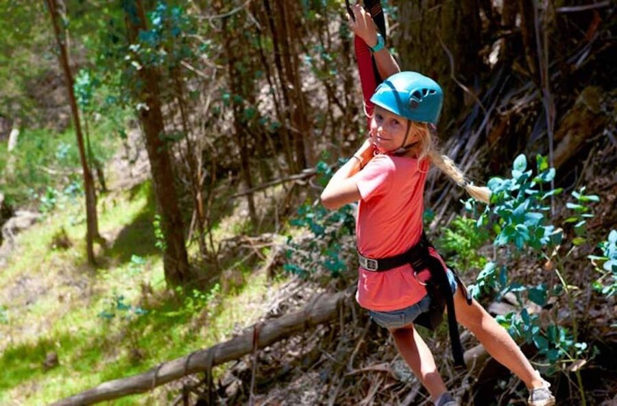 Maui: Haleakala 6-Line Zipline Adventure - Practical booking advice for a smoother morning