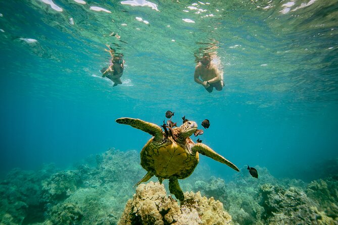 Maui: Molokini Crater and Turtle Town Snorkeling From Kihei - Gear, flotation, and comfort in the water