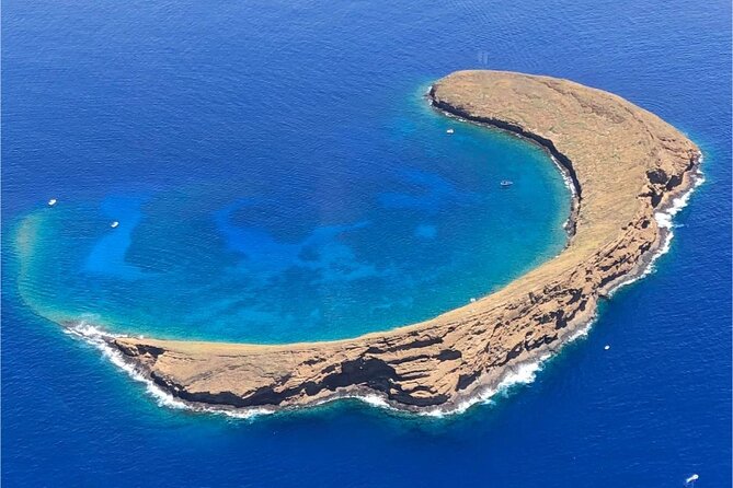 Maui: Molokini Crater and Turtle Town Snorkeling From Kihei - Molokini Crater: clear water and serious fish variety