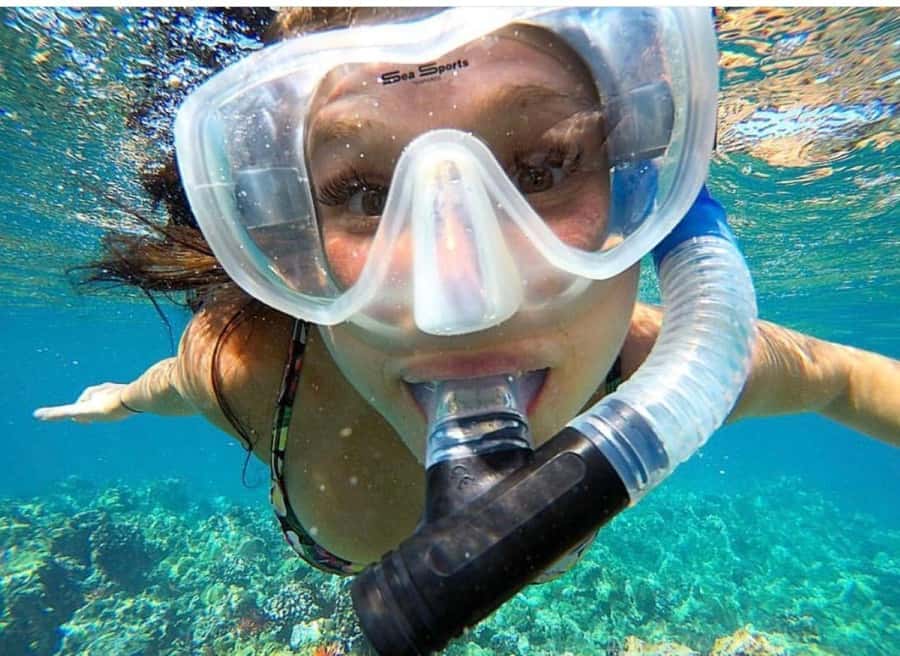 Maui: Molokini Crater and Turtle Town Snorkeling Tour - 3 hr - Key points at a glance