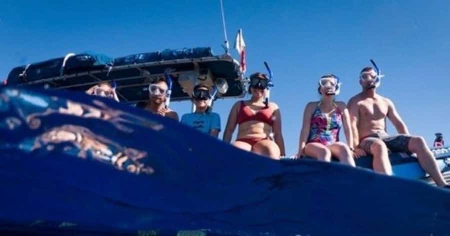 Maui: Molokini Crater and Turtle Town Snorkeling Tour - 3 hr - Why the small boat changes the Molokini experience