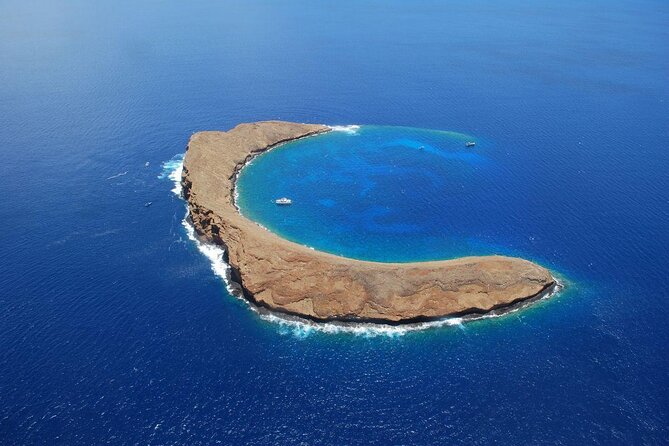 Maui: Molokini & Turtle Town Snorkel & Waterslide Adventure - Key details before you book