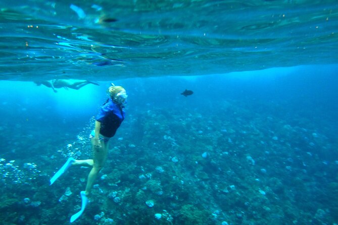 Maui: Molokini & Turtle Town Snorkel & Waterslide Adventure - Second stop: Turtle Town and the search for honu