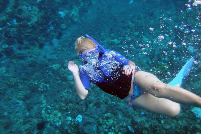 Maui: Molokini & Turtle Town Snorkel & Waterslide Adventure - How personal is a group of up to 65?