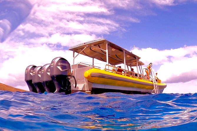 Maui Snorkel Adventure: Molokini Crater and Turtle Cove - Molokini Crater: Clear Water, Fish, and Current